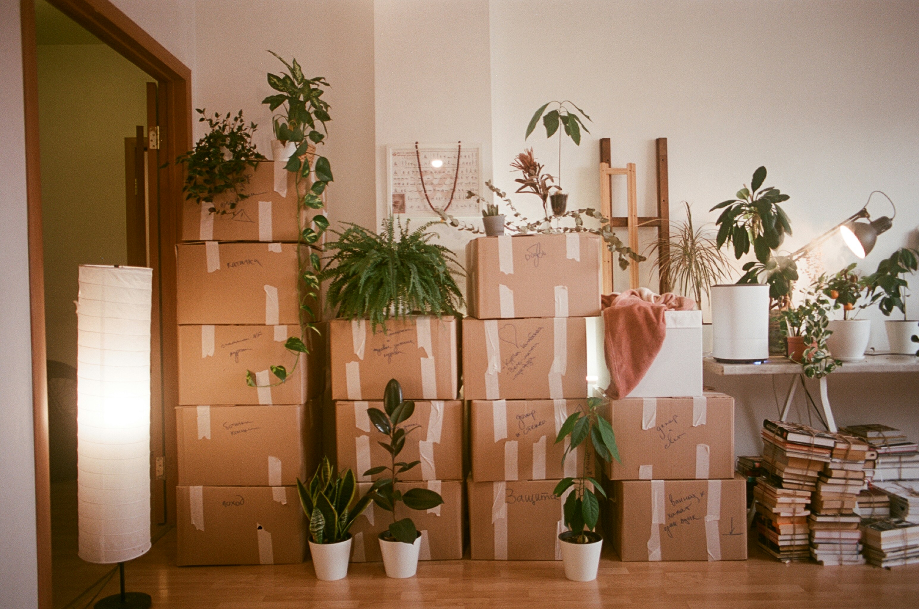 Domestic Relocation